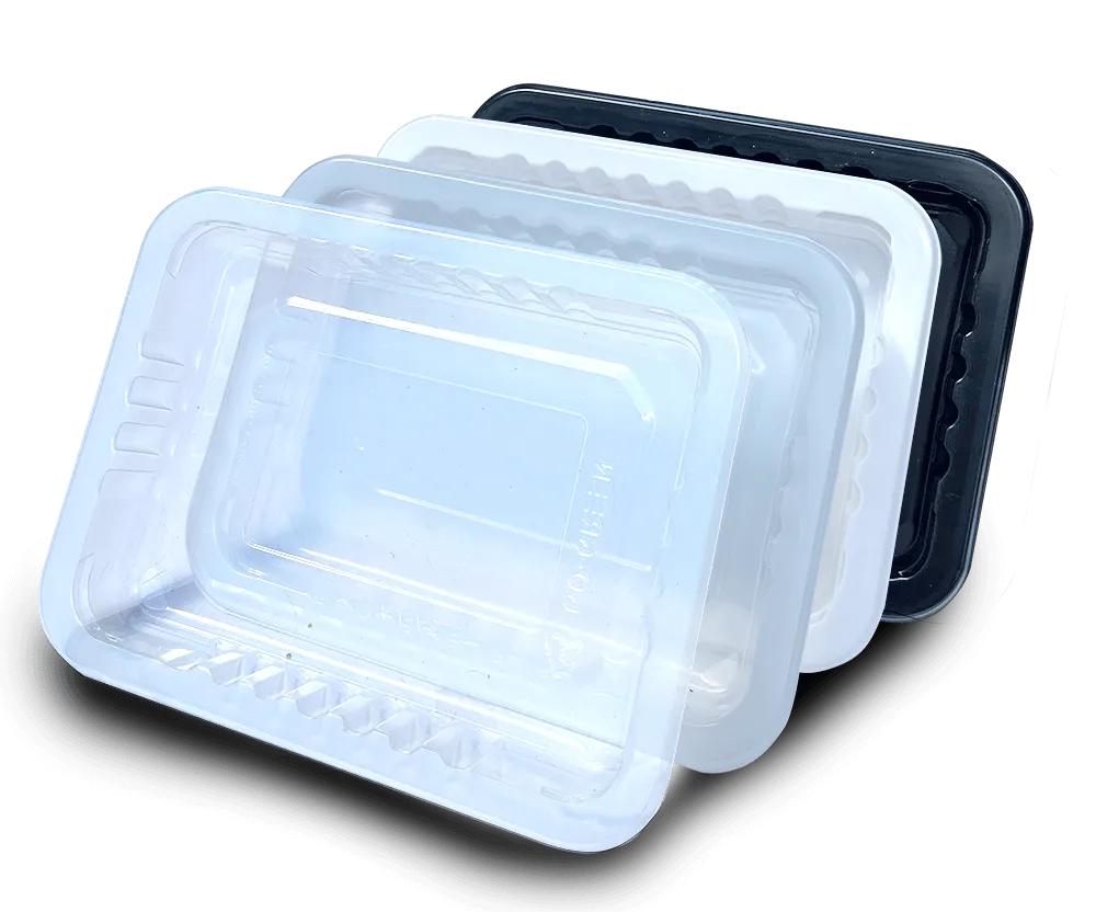 Grn co. Packaging - ✓Anti Freeze Rectangular Container perfect